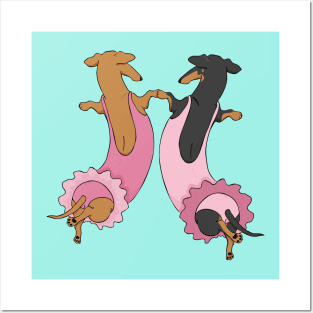 Ballerina Dachshunds Posters and Art